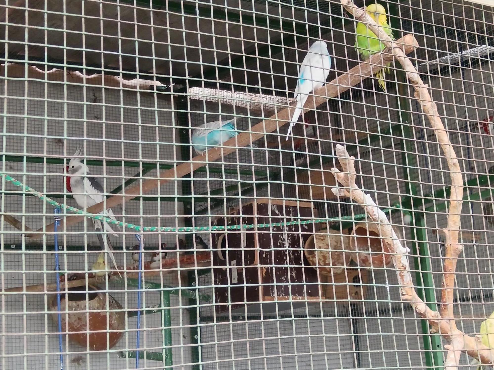 Hospedaje Ajayu スクレ エクステリア 写真